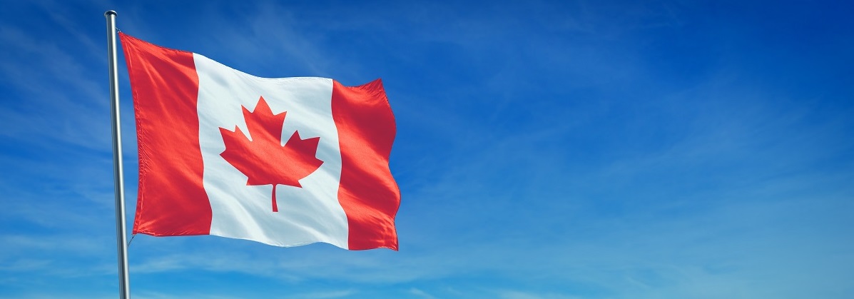 The National flag of Canada blowing in the wind in front of a clear blue sky